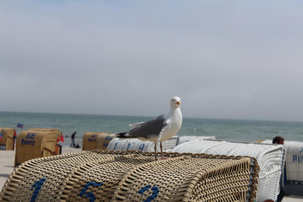 Ferienwohnungen Im Haus Strandburg Grömitz מראה חיצוני תמונה